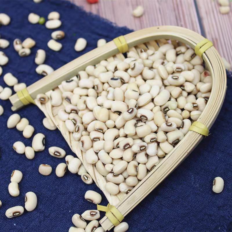 白江豆