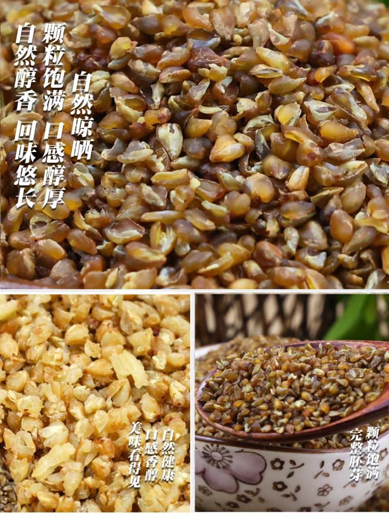苦荞