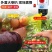 太阳能4G监控器360度超清免插电无需网络手机远程室外夜