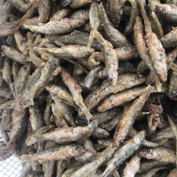 麦穗鱼干