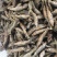 麦穗鱼干