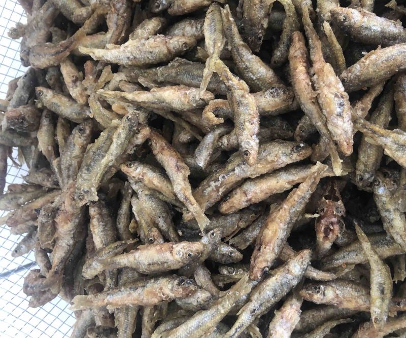 麦穗鱼干