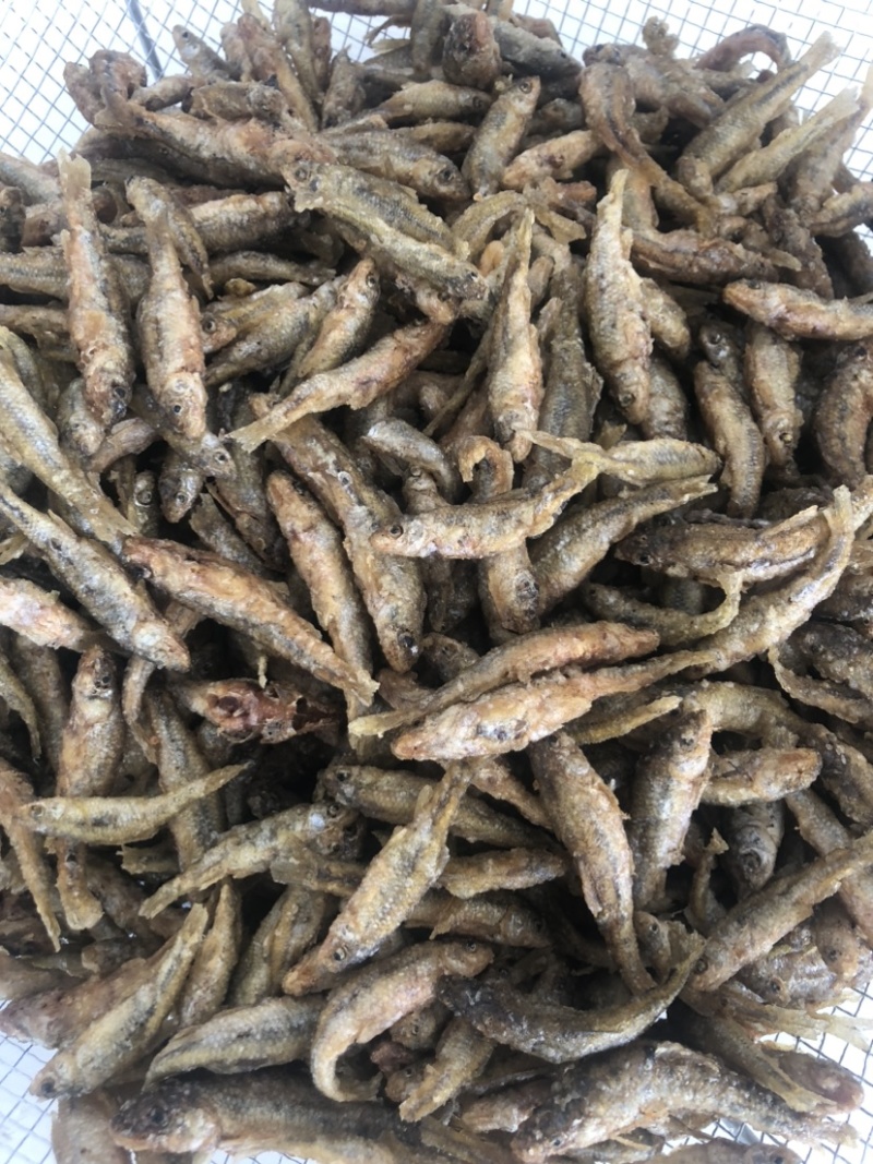 麦穗鱼干