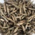 麦穗鱼干