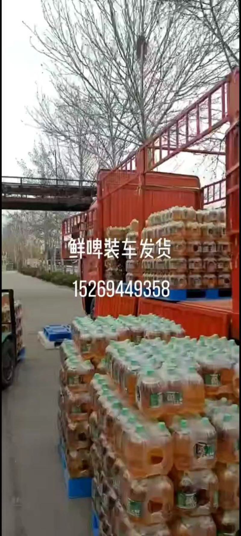 小罐菠萝啤，各种规格，各种口味，厂家直销价格美丽