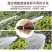 高压洗车水枪家用套装多功能水枪浇花工具四季软管冲洗地工具