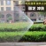 高压洗车水枪家用套装多功能水枪浇花工具四季软管冲洗地工具