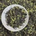 柠檬红茶英红九号柠檬红茶批发零售英德红茶