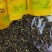 柠檬红茶英红九号柠檬红茶批发零售英德红茶