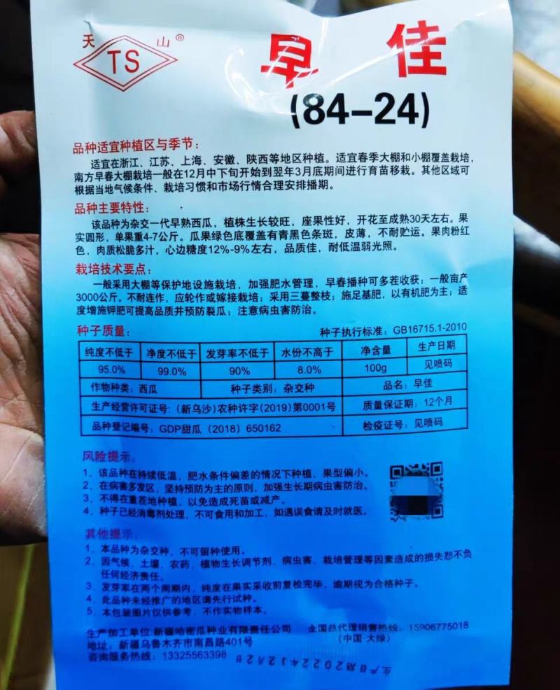 天山8424西瓜种子，100克