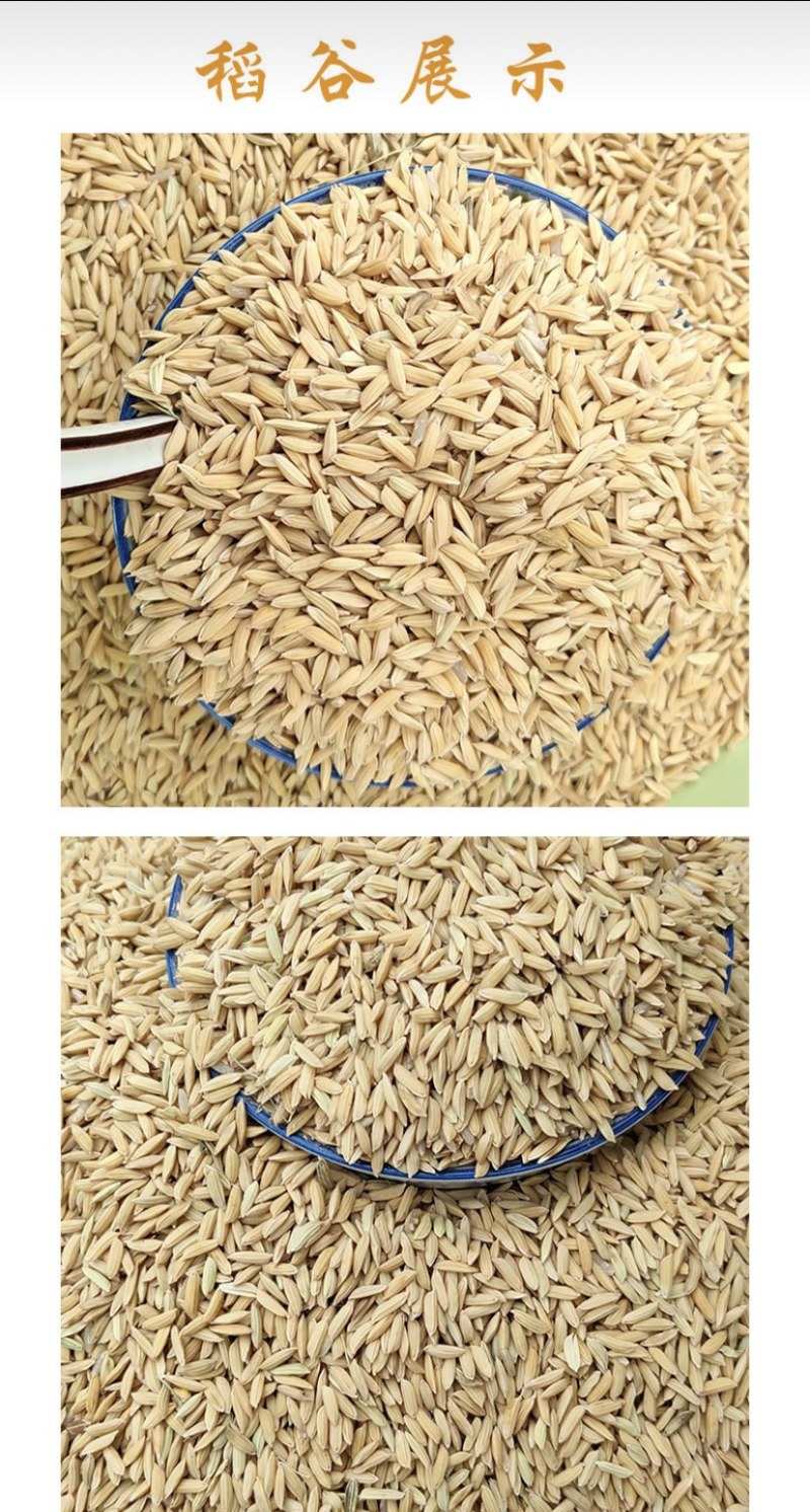 吉林大米