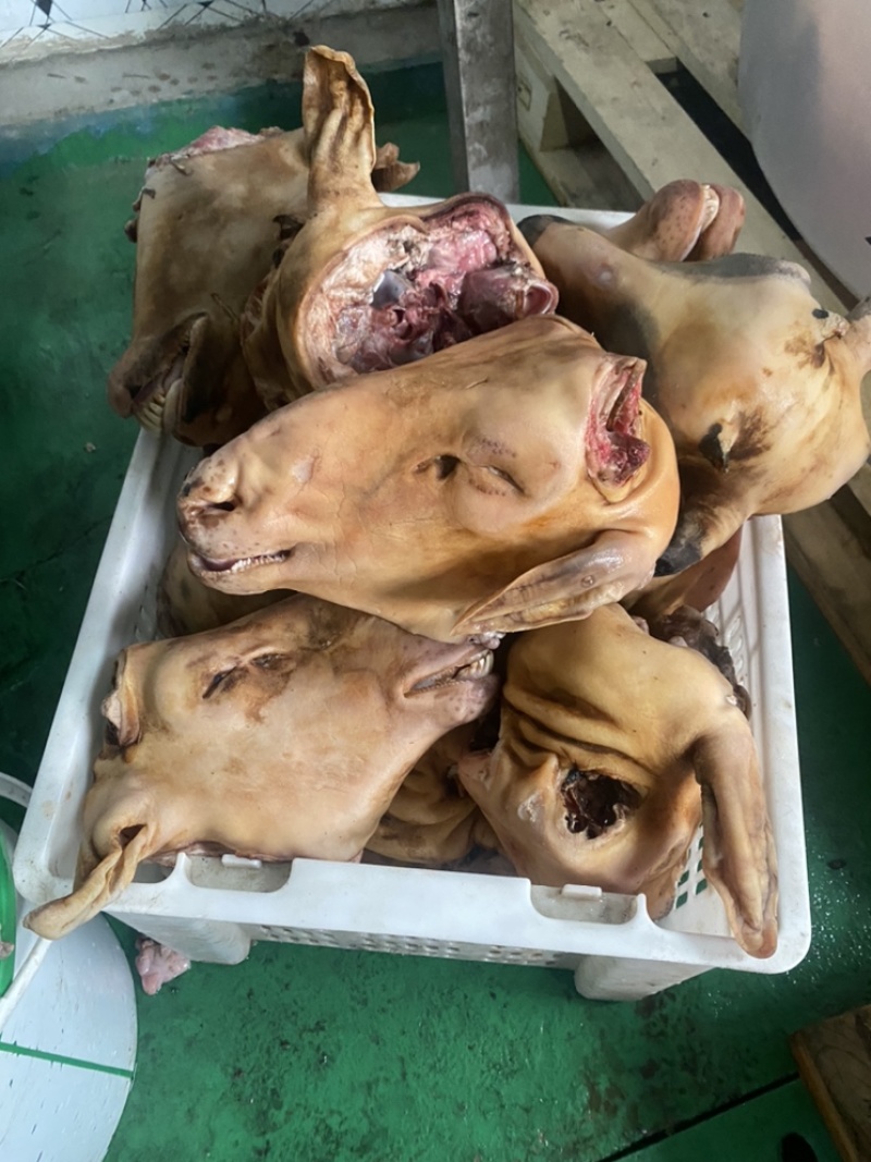 去毛羊头