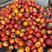 湖北油桃中油油桃大量供应，品种多，货源充足，随行就市