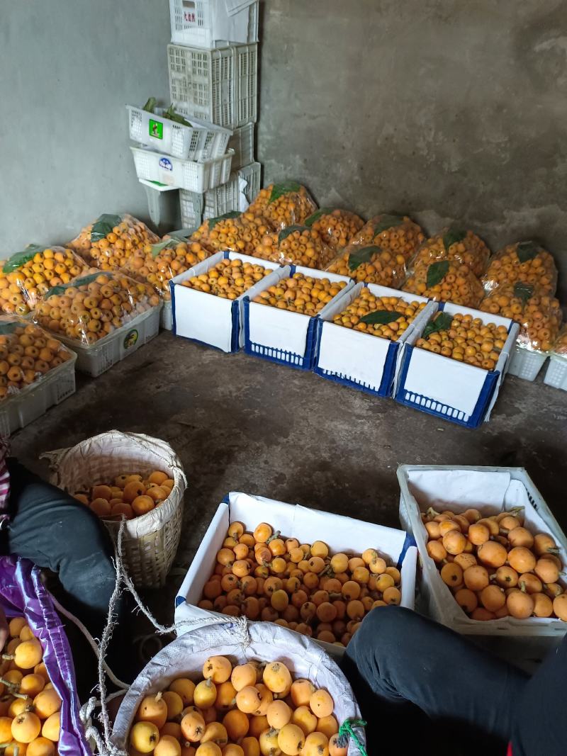 巴阳五星大量上市