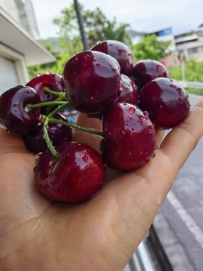 红灯车厘子