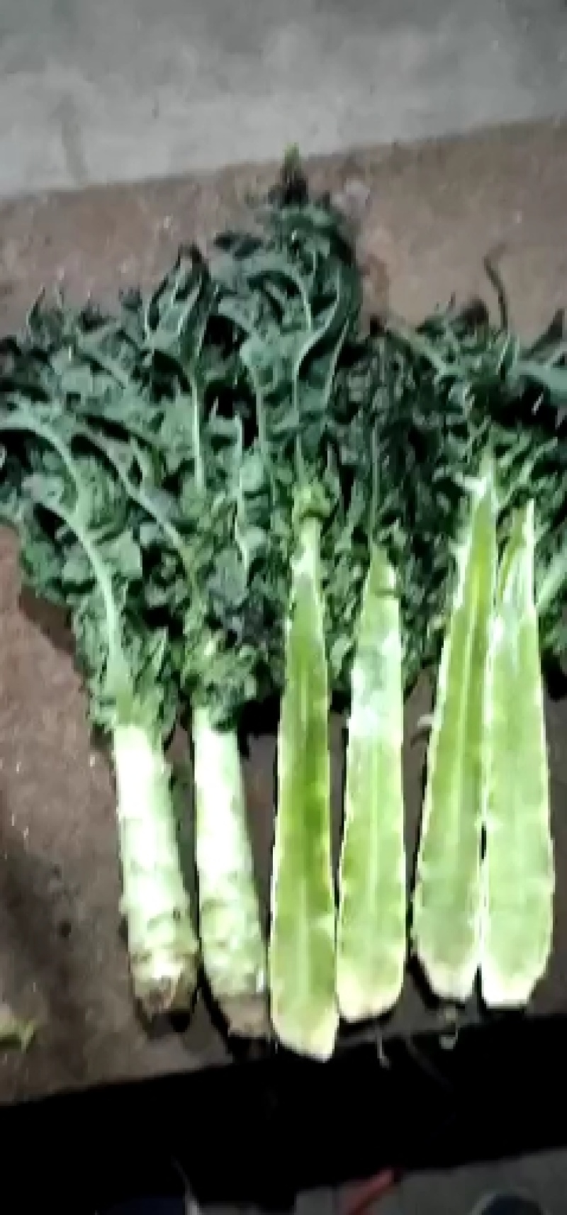 精品莴笋