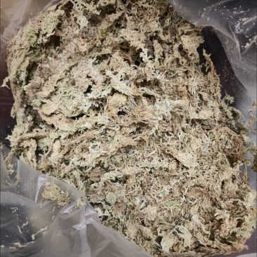 水苔藓干苔藓蝴蝶兰专用土水苔兰花土铁皮石斛盆栽植料透气捕