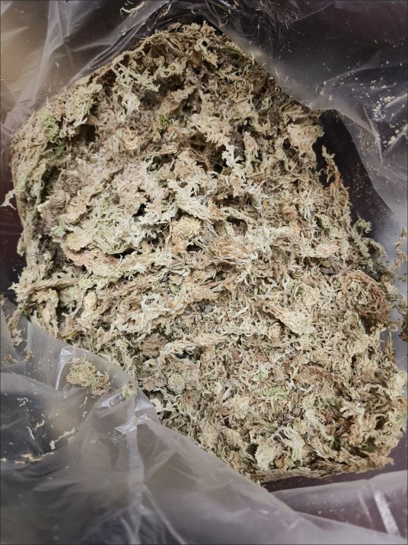 水苔藓干苔藓蝴蝶兰专用土水苔兰花土铁皮石斛盆栽植料透气捕