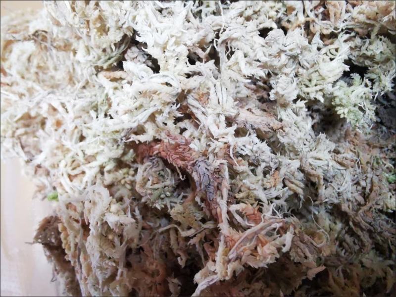 水苔藓干苔藓蝴蝶兰专用土水苔兰花土铁皮石斛盆栽植料透气捕