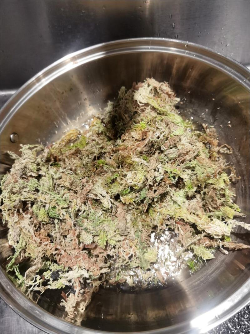 水苔藓干苔藓蝴蝶兰专用土水苔兰花土铁皮石斛盆栽植料透气捕