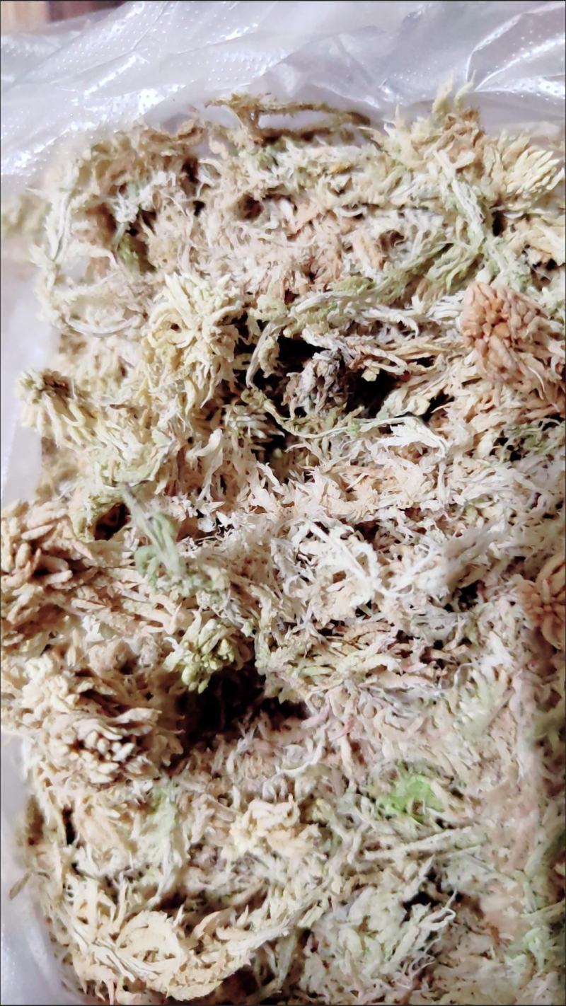 水苔藓干苔藓蝴蝶兰专用土水苔兰花土铁皮石斛盆栽植料透气捕