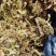 水苔藓干苔藓蝴蝶兰专用土水苔兰花土铁皮石斛盆栽植料透气捕