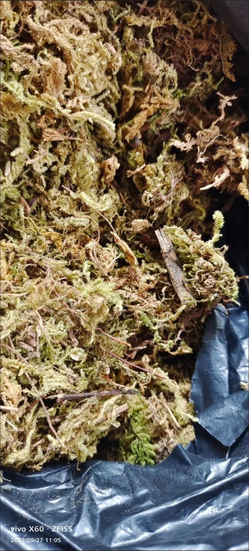 水苔藓干苔藓蝴蝶兰专用土水苔兰花土铁皮石斛盆栽植料透气捕