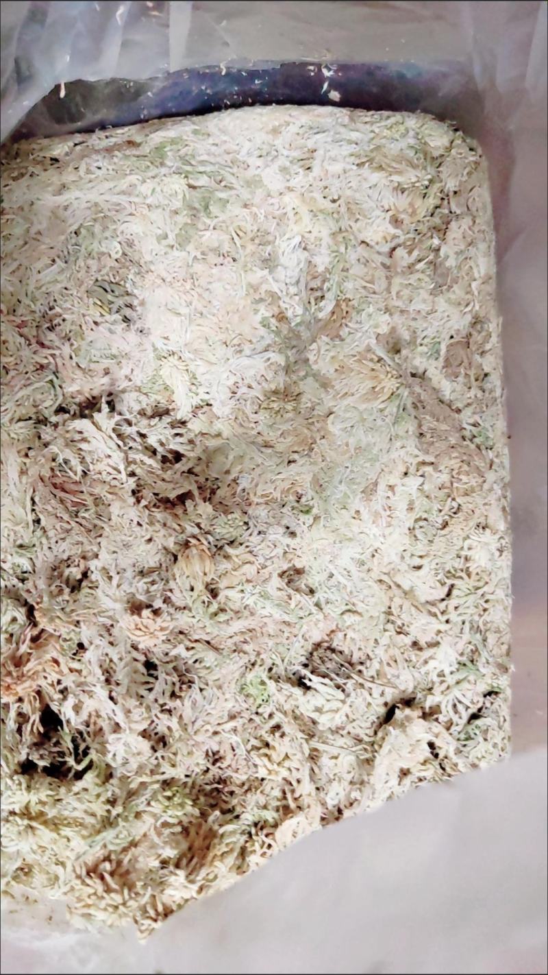 水苔藓干苔藓蝴蝶兰专用土水苔兰花土铁皮石斛盆栽植料透气捕