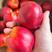 湖北金雷油桃，518油桃，毛桃，中油桃，品种齐全，预售