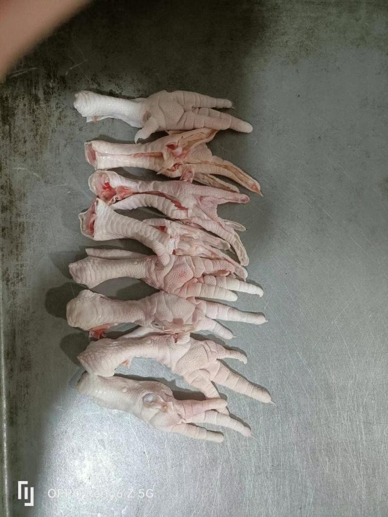 鸡爪
