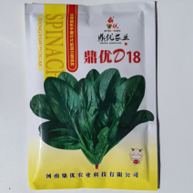 鼎优D18菠菜种子圆叶墨绿色红根菠菜品种种子
