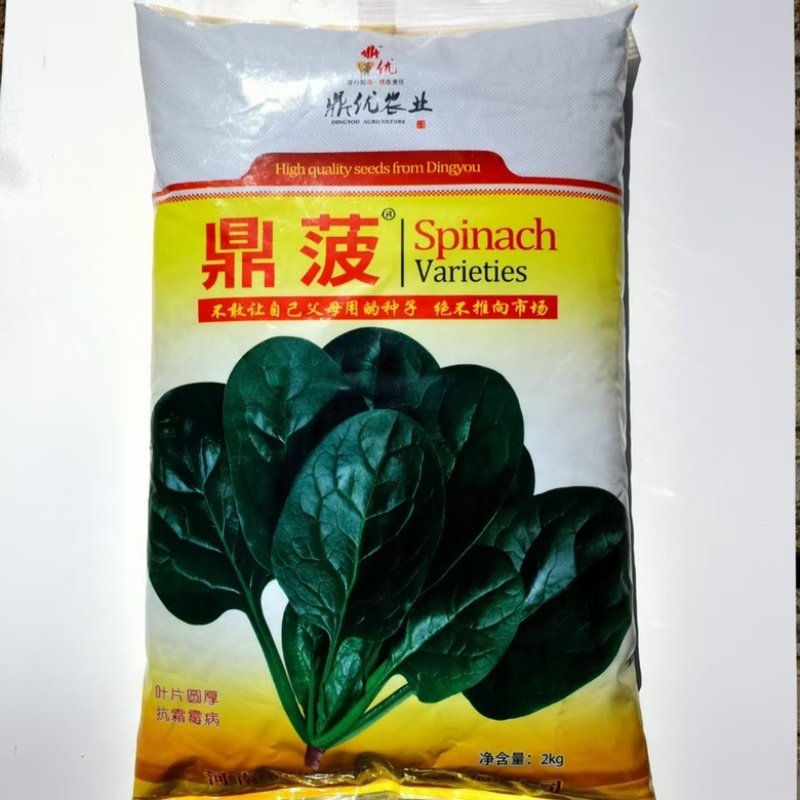 鼎优D18菠菜种子圆叶墨绿色红根菠菜品种种子