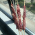 纯干腹肉条串，质量保证，价格实惠