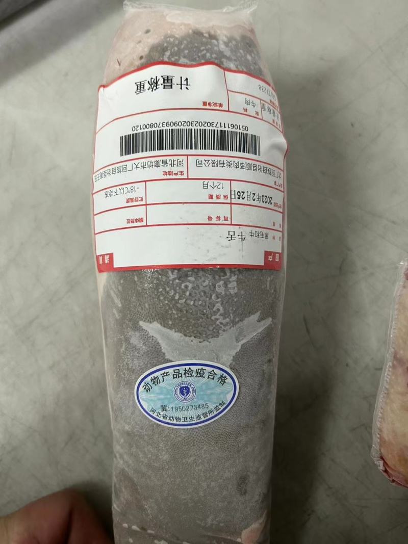 牛舌