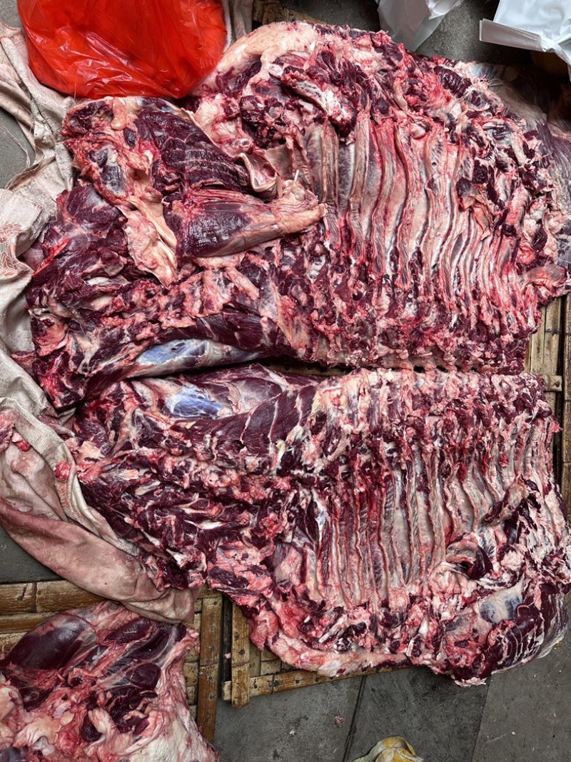 【精品牛肉河南焦作清真纯干无注水牛肉牛肋条