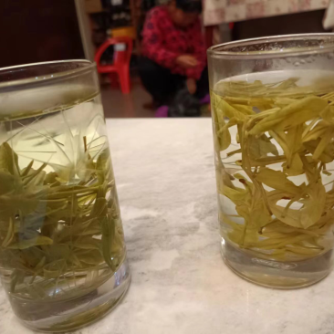 紫笋茶