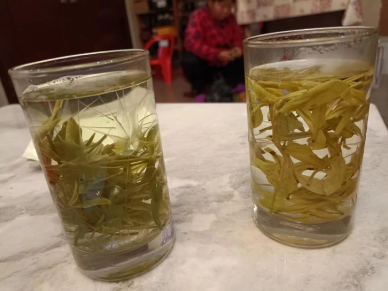 紫笋茶