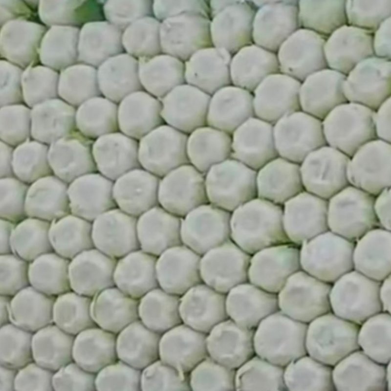 白菜