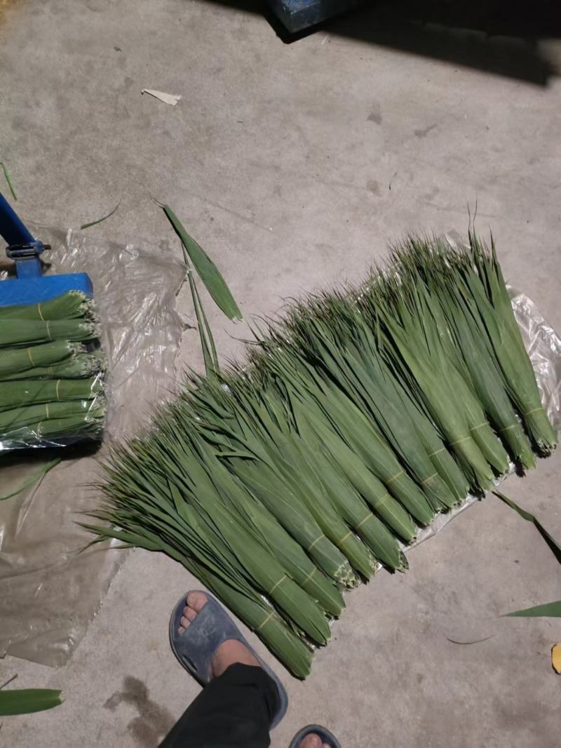 白洋淀芦苇叶