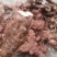 野生新鲜白肉土茯苓