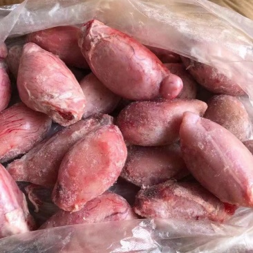 羊宝羊蛋欢迎致电可长期合作全国发货保证质量