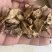 胰岛果片个子菊芋干菊芋干菊芋片胰岛果