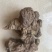 胰岛果片个子菊芋干菊芋干菊芋片胰岛果