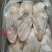 精品白条鸭规格齐全价格低货源稳定长期有货