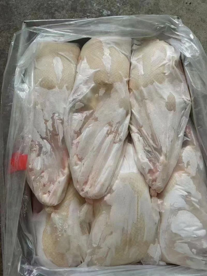 精品白条鸭规格齐全价格低货源稳定长期有货