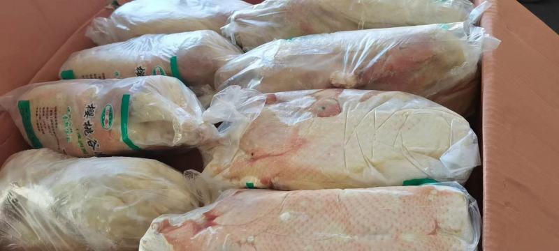 精品白条鸭规格齐全价格低货源稳定长期有货