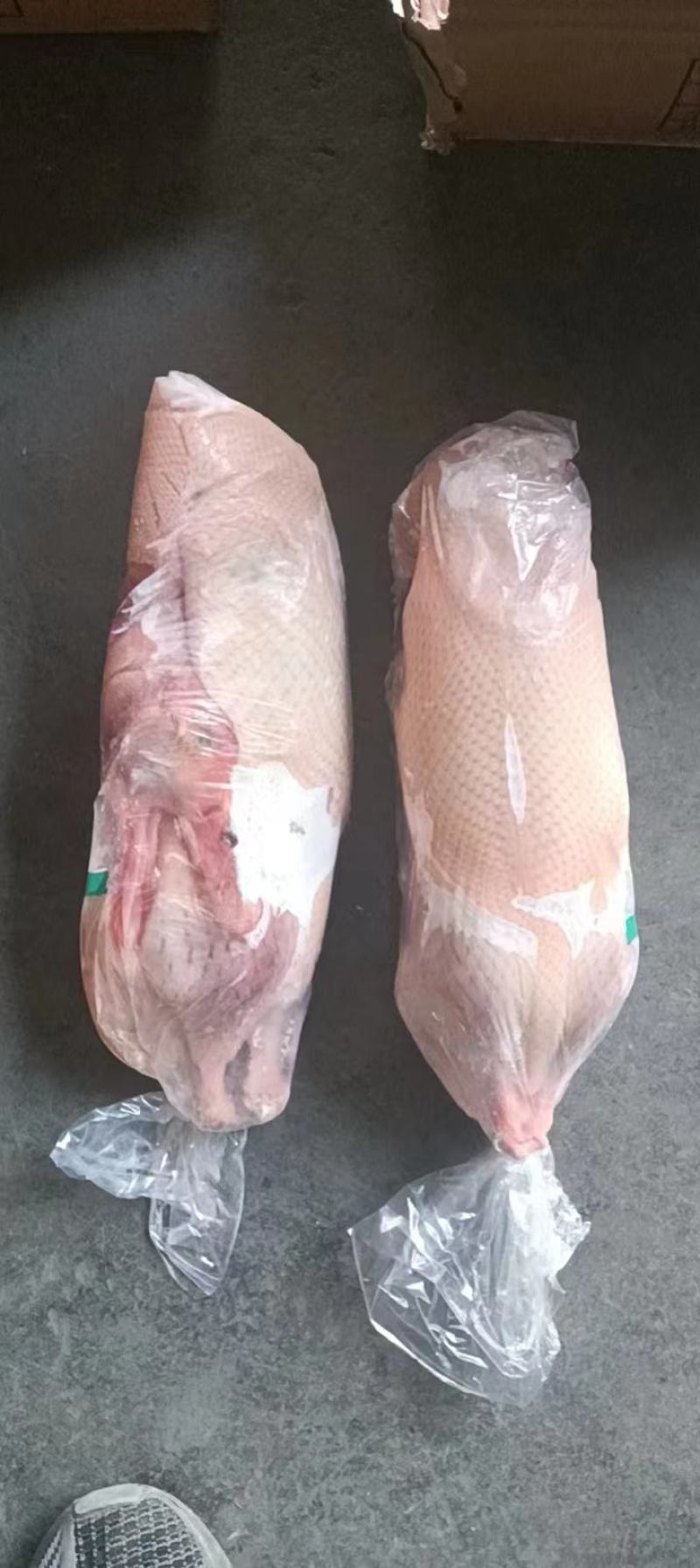 精品白条鸭规格齐全价格低货源稳定长期有货