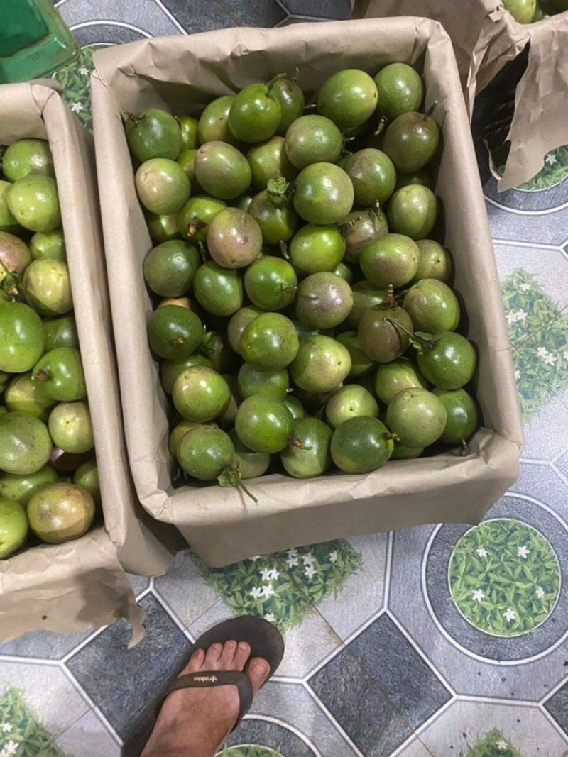 进口百香果热带新鲜水果现摘西番莲鸡蛋果包邮酸爽香