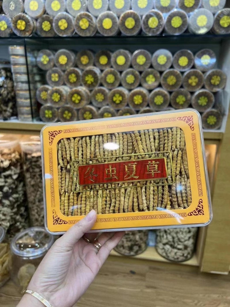 冻干冬虫夏草非野生虫草3000条全肉断草批发