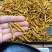 冻干冬虫夏草非野生虫草3000条全肉断草批发